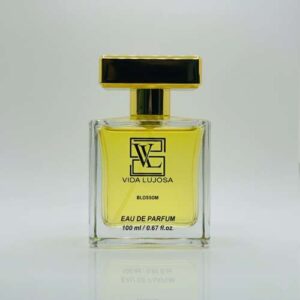 Blossom by Vida LUJOSA — a romantic floral blend of coral jasmine, peru balsam, cardamom, and tuberose. Elegant, feminine, and long-lasting.